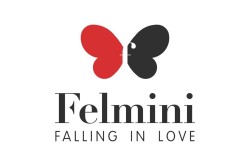 Felmini